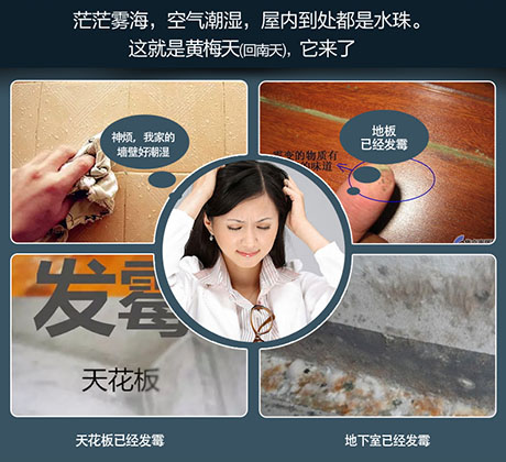 家庭別墅的地下室、衛(wèi)生間、儲物室等該如何除濕？
