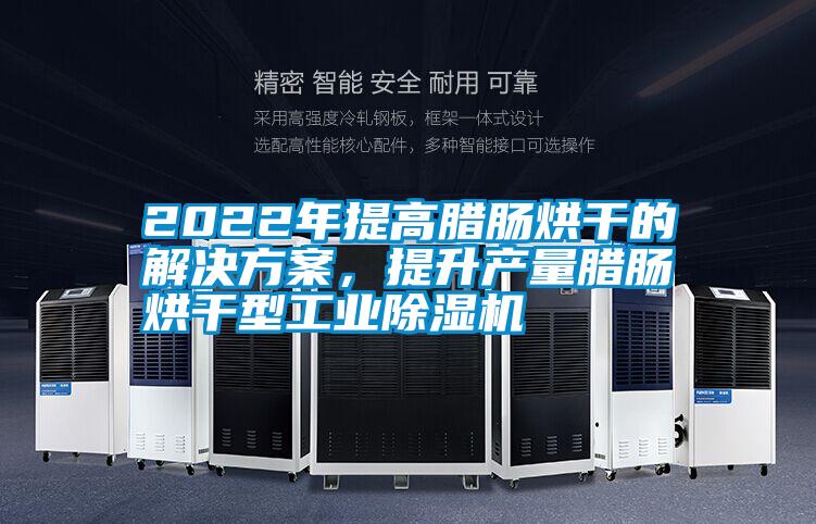 2022年提高臘腸烘干的解決方案，提升產(chǎn)量臘腸烘干型工業(yè)除濕機(jī)