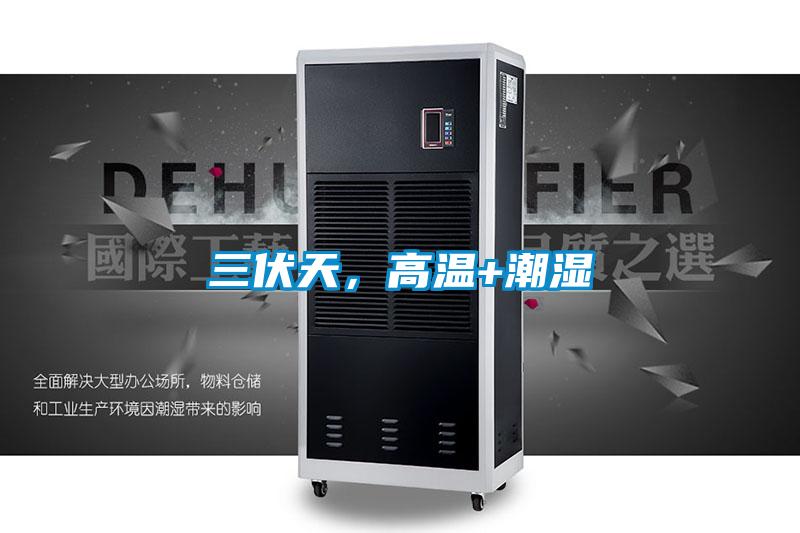 三伏天，高溫+潮濕