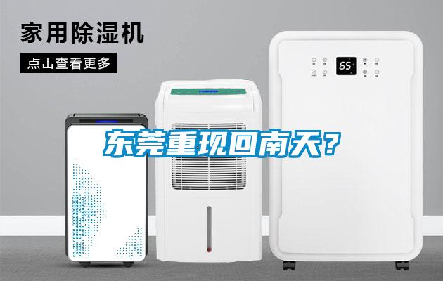東莞重現(xiàn)回南天？