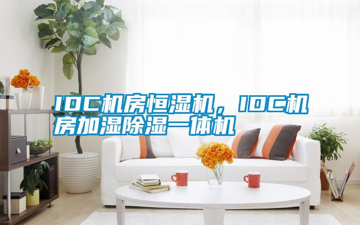 IDC機(jī)房恒濕機(jī)，IDC機(jī)房加濕除濕一體機(jī)