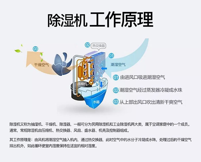 南方梅雨季到了房屋墻壁滲水、返潮怎么辦？