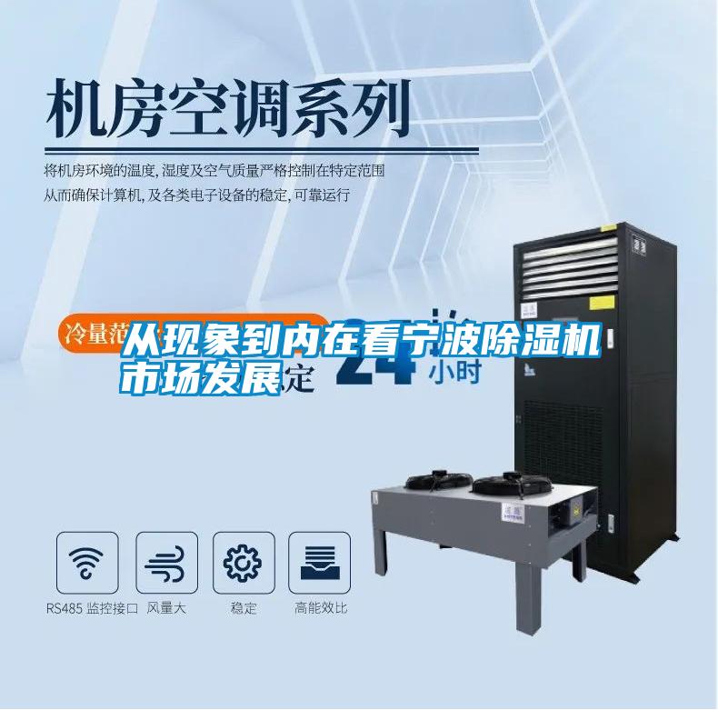 從現(xiàn)象到內在看寧波除濕機市場發(fā)展