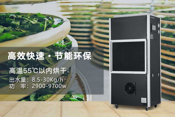 潮濕天氣來襲，螨蟲爆滿床！