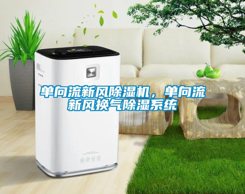 單向流新風除濕機，單向流新風換氣除濕系統(tǒng)