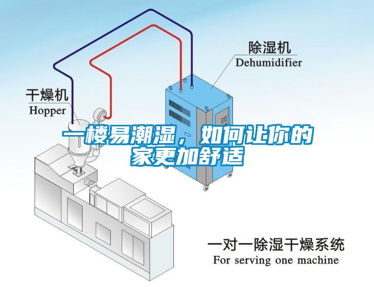 一樓易潮濕，如何讓你的家更加舒適