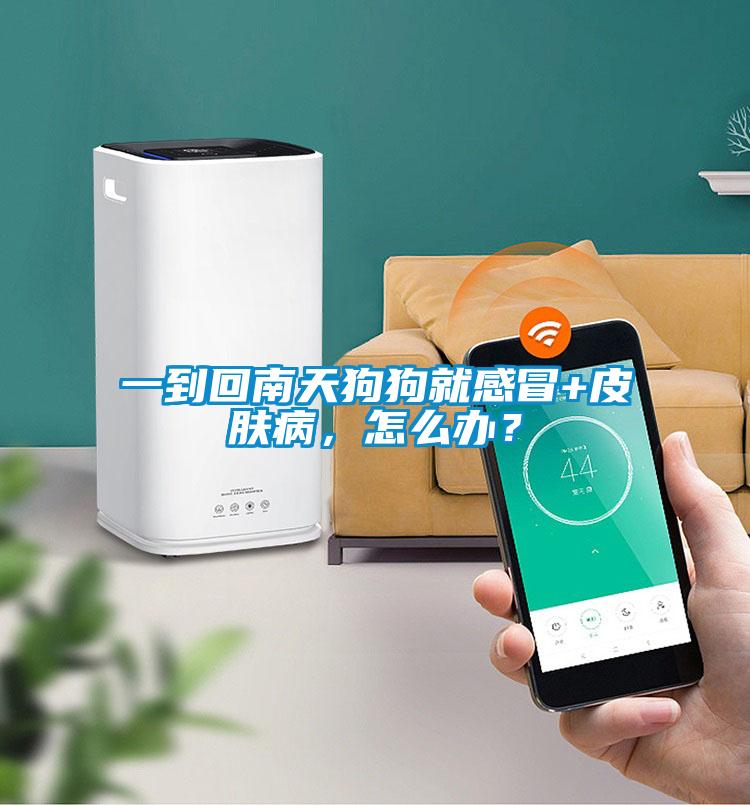 一到回南天狗狗就感冒+皮膚病，怎么辦？