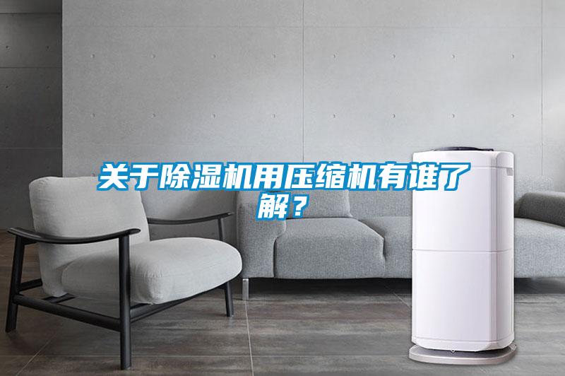 關(guān)于除濕機(jī)用壓縮機(jī)有誰(shuí)了解？