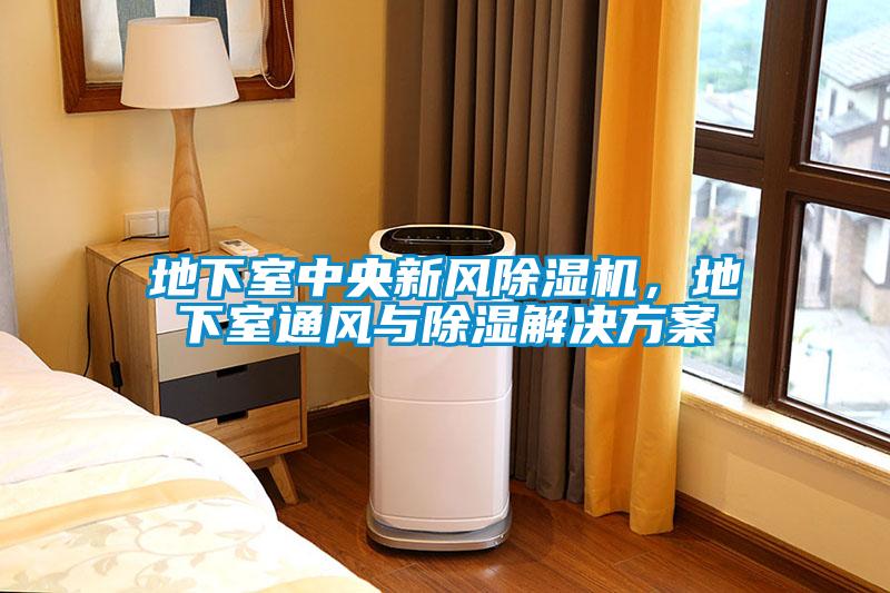 地下室中央新風(fēng)除濕機，地下室通風(fēng)與除濕解決方案