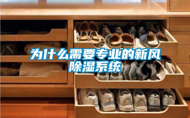 為什么需要專業(yè)的新風(fēng)除濕系統(tǒng)