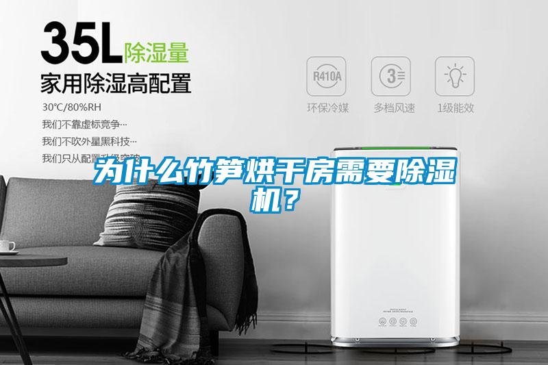 為什么竹筍烘干房需要除濕機？