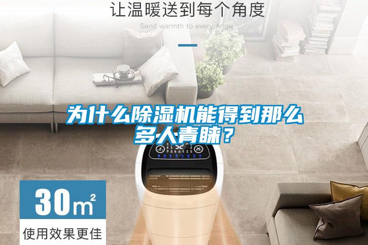 為什么除濕機(jī)能得到那么多人青睞？