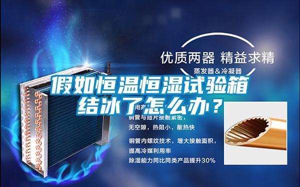 假如恒溫恒濕試驗(yàn)箱結(jié)冰了怎么辦?