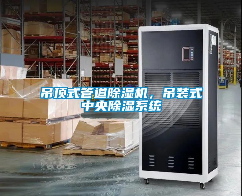 吊頂式管道除濕機(jī)，吊裝式中央除濕系統(tǒng)