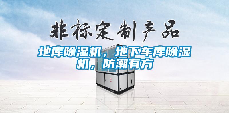 地庫除濕機(jī)，地下車庫除濕機(jī)，防潮有方