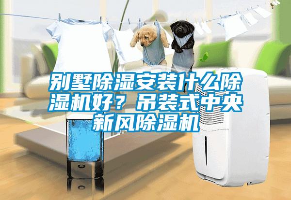 別墅除濕安裝什么除濕機(jī)好？吊裝式中央新風(fēng)除濕機(jī)
