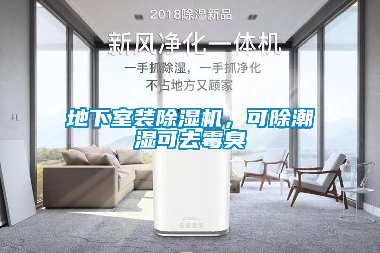 地下室裝除濕機(jī)，可除潮濕可去霉臭