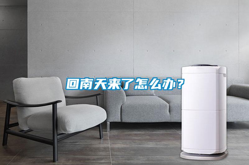 回南天來了怎么辦？