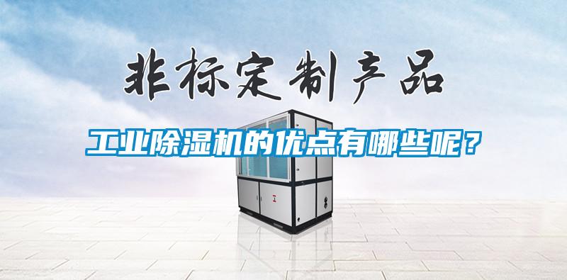 工業(yè)除濕機(jī)的優(yōu)點(diǎn)有哪些呢？