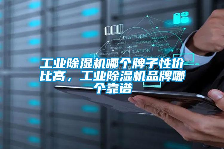 工業(yè)除濕機(jī)哪個(gè)牌子性價(jià)比高，工業(yè)除濕機(jī)品牌哪個(gè)靠譜