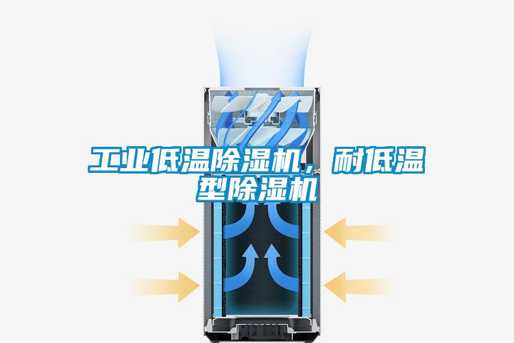 工業(yè)低溫除濕機，耐低溫型除濕機