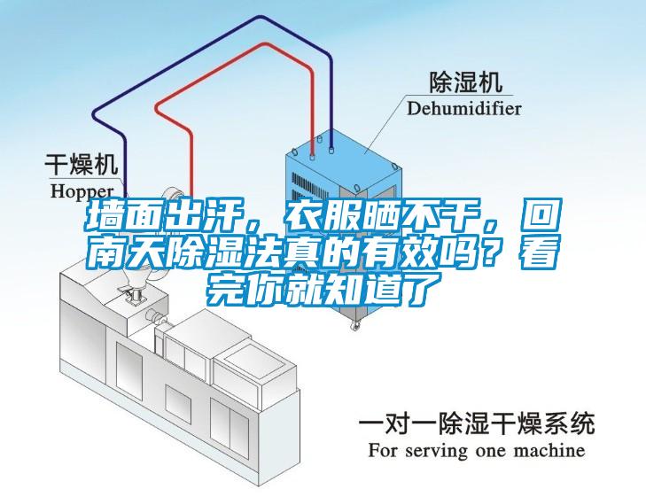 墻面出汗，衣服曬不干，回南天除濕法真的有效嗎？看完你就知道了