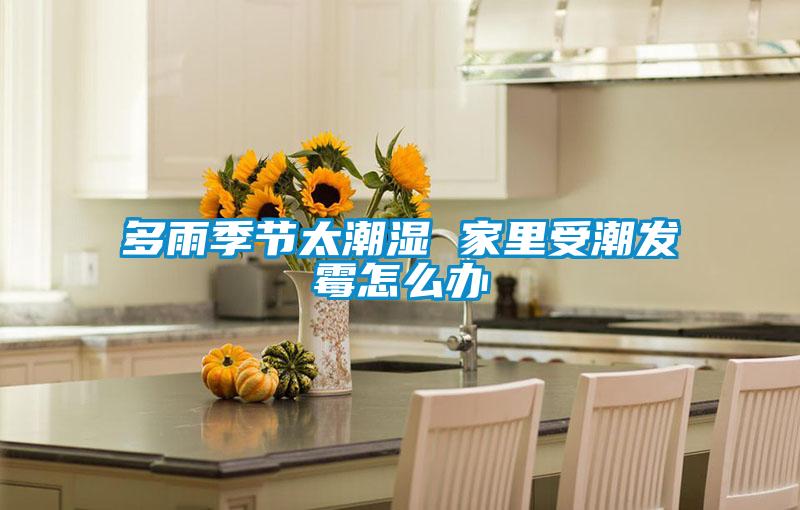 多雨季節(jié)太潮濕 家里受潮發(fā)霉怎么辦