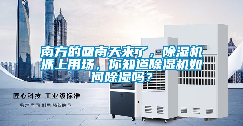 南方的回南天來了，除濕機派上用場，你知道除濕機如何除濕嗎？