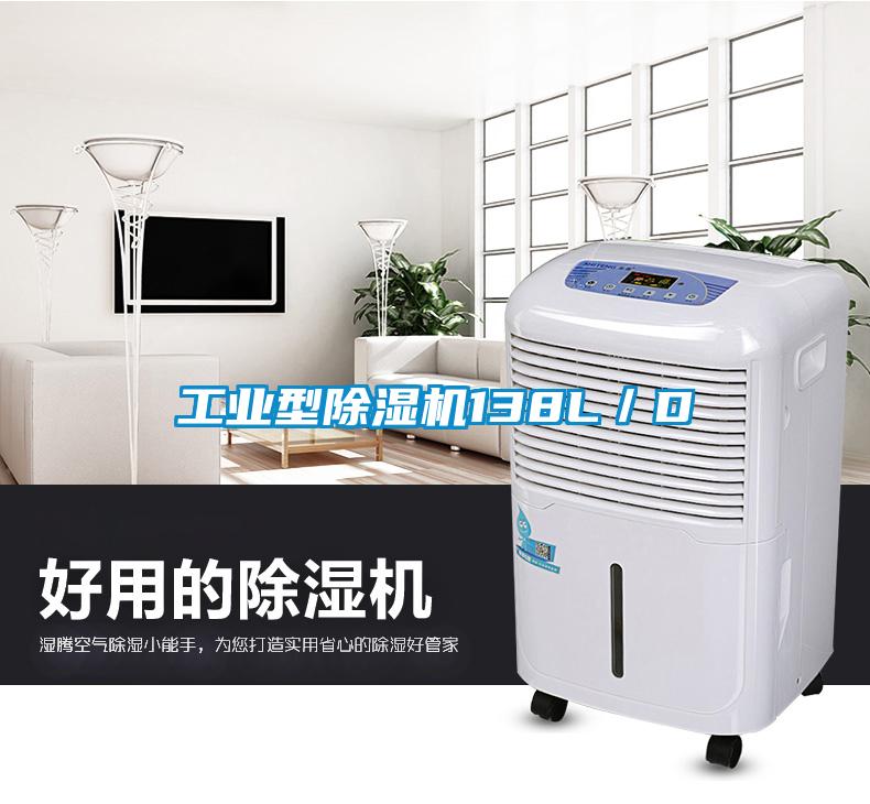 工業(yè)型除濕機(jī)138L/D