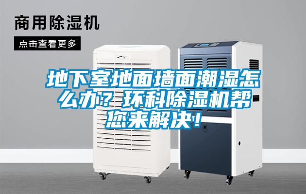 地下室地面墻面潮濕怎么辦?環(huán)科除濕機(jī)幫您來解決!