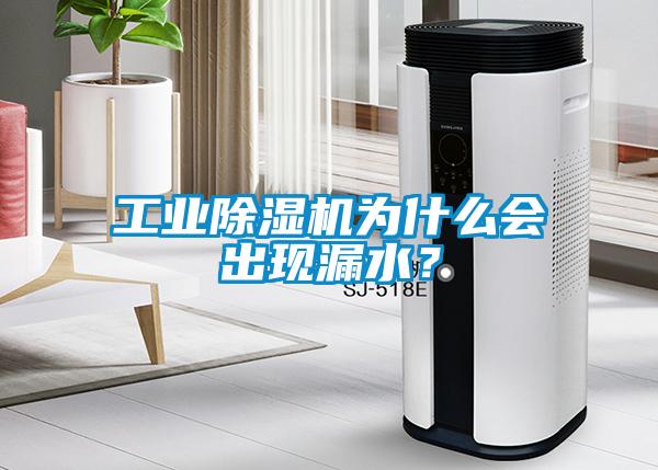 工業(yè)除濕機為什么會出現(xiàn)漏水？