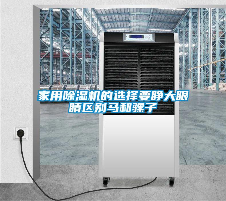 家用除濕機的選擇要睜大眼睛區(qū)別馬和騾子