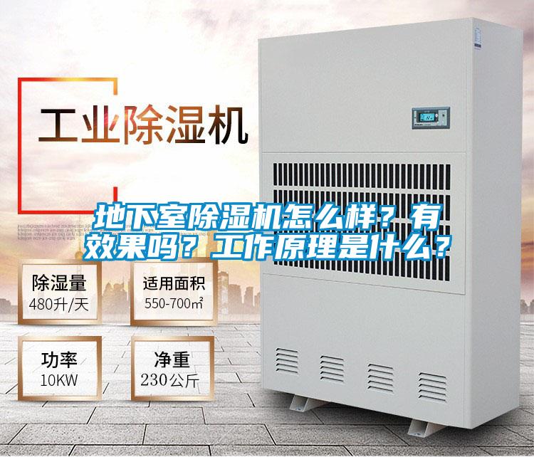 地下室除濕機怎么樣？有效果嗎？工作原理是什么？