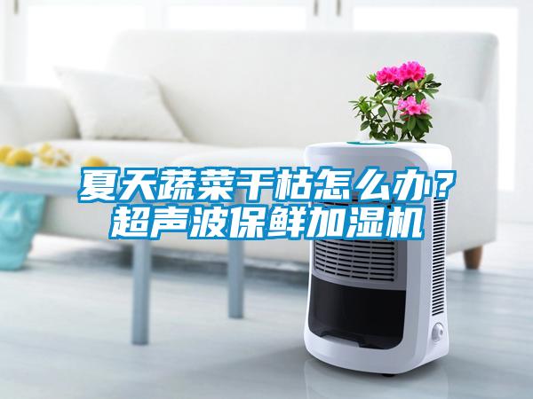 夏天蔬菜干枯怎么辦？超聲波保鮮加濕機(jī)