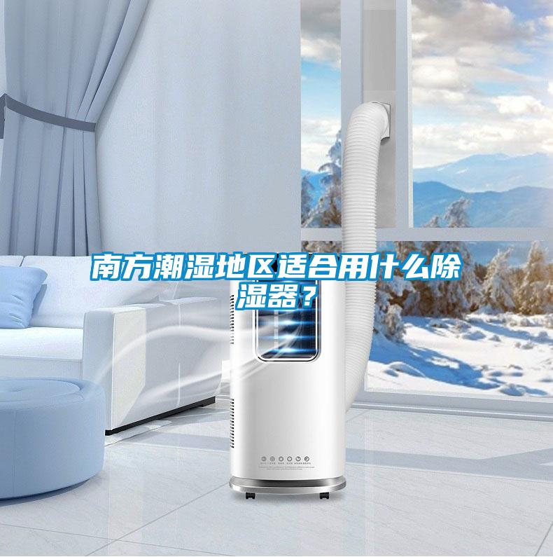 南方潮濕地區(qū)適合用什么除濕器?