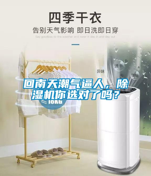 回南天潮氣逼人，除濕機你選對了嗎？