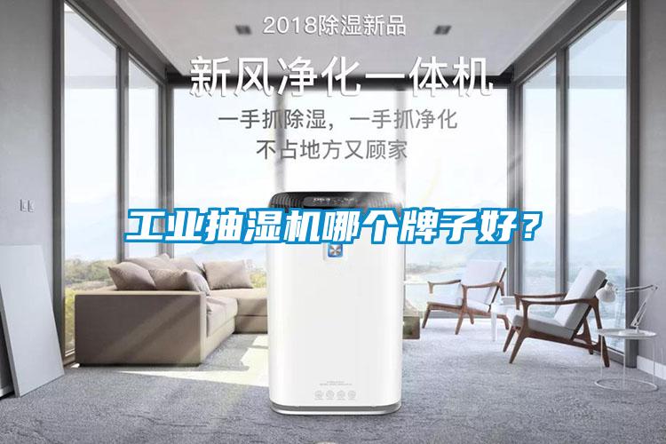 工業(yè)抽濕機(jī)哪個(gè)牌子好？