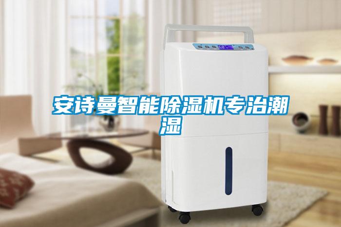 安詩曼智能除濕機(jī)專治潮濕