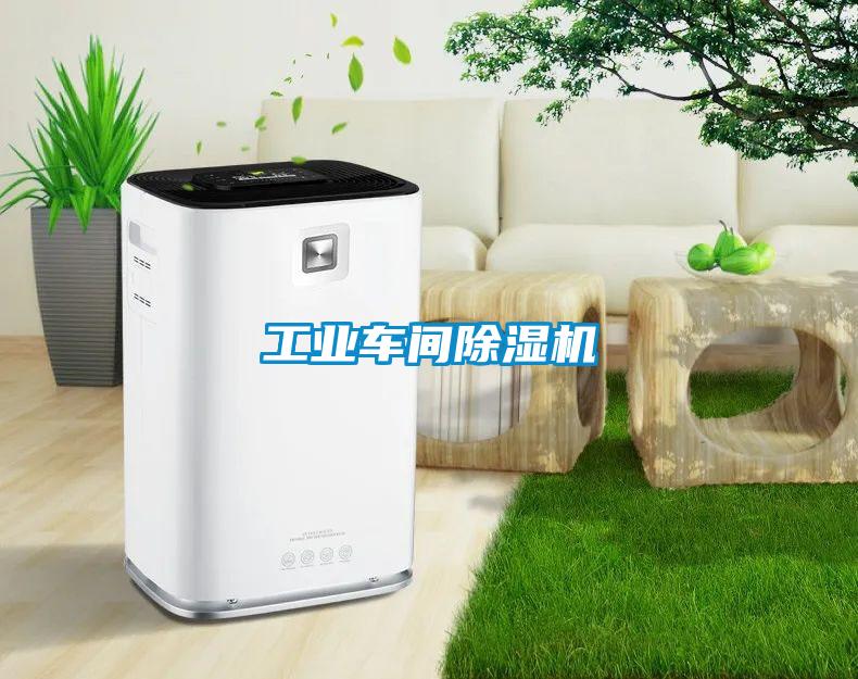 工業(yè)車間除濕機