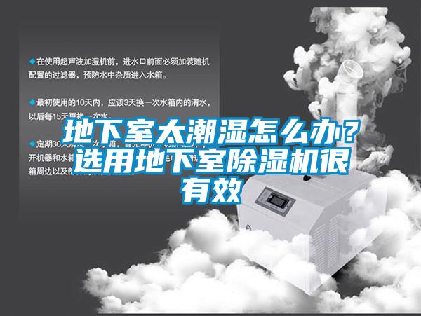 地下室太潮濕怎么辦？選用地下室除濕機很有效