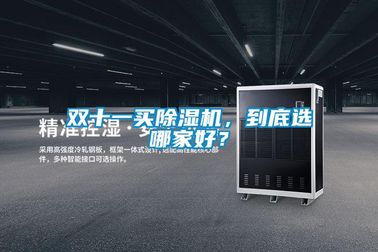 雙十一買除濕機(jī)，到底選哪家好？
