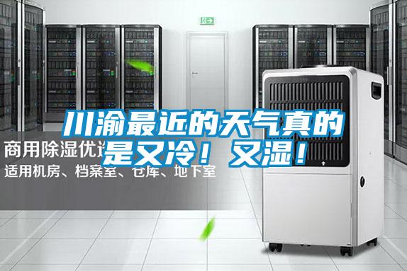 川渝最近的天氣真的是又冷！又濕！