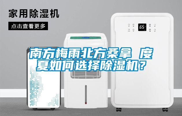 南方梅雨北方桑拿 度夏如何選擇除濕機(jī)？
