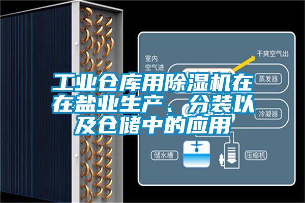 工業(yè)倉(cāng)庫用除濕機(jī)在在鹽業(yè)生產(chǎn)、分裝以及倉(cāng)儲(chǔ)中的應(yīng)用