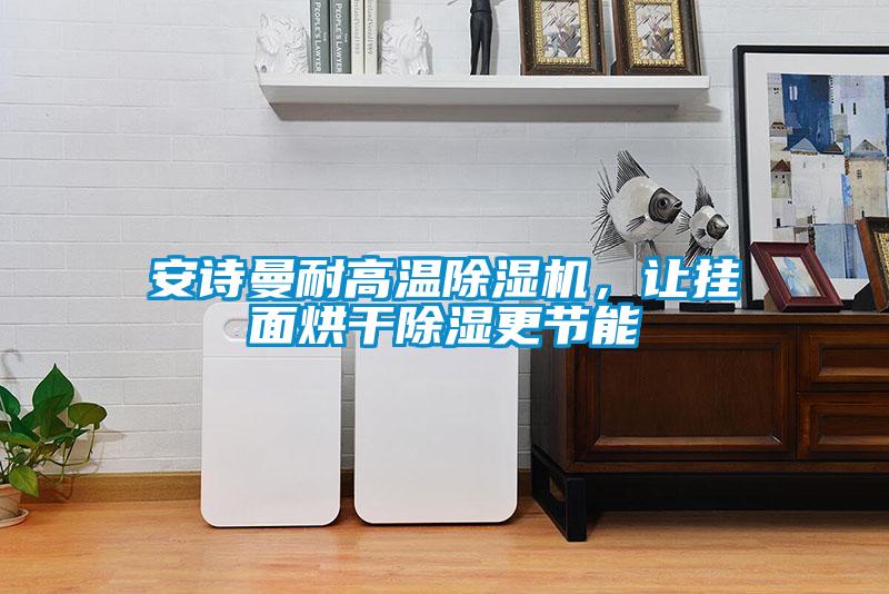 安詩(shī)曼耐高溫除濕機(jī)，讓掛面烘干除濕更節(jié)能