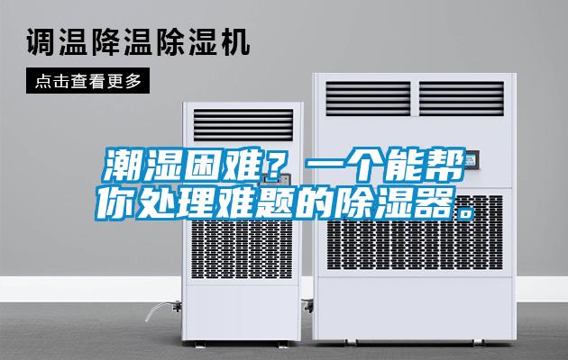 潮濕困難？一個(gè)能幫你處理難題的除濕器。