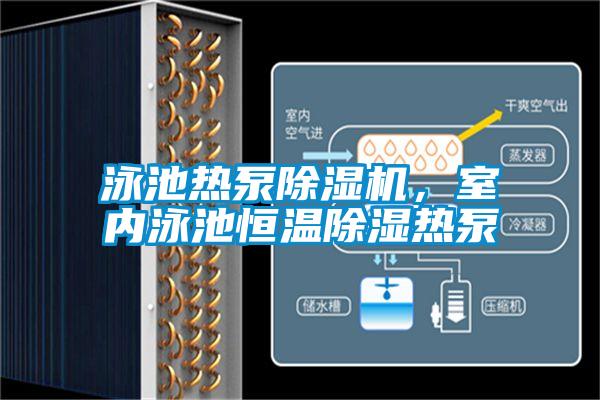 泳池?zé)岜贸凉駲C，室內(nèi)泳池恒溫除濕熱泵
