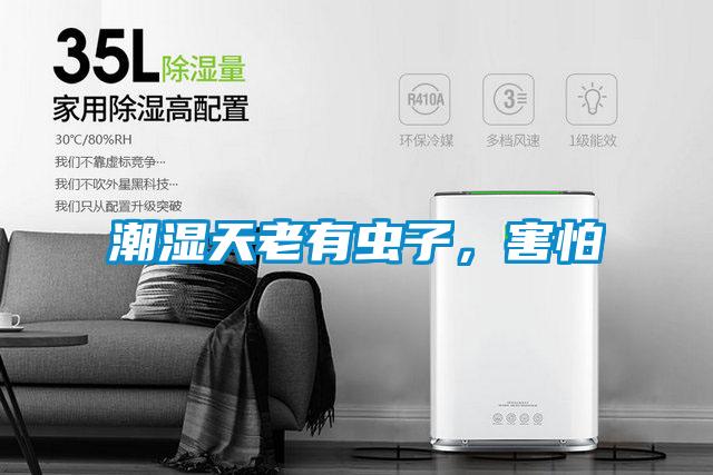 潮濕天老有蟲子，害怕