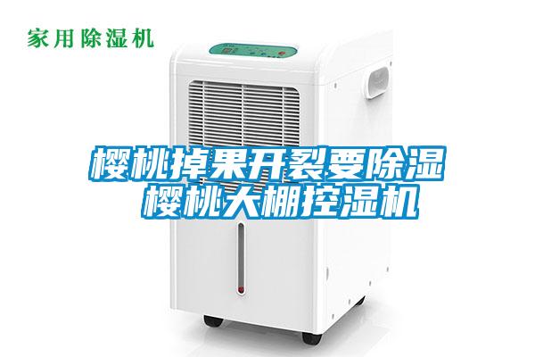 櫻桃掉果開(kāi)裂要除濕 櫻桃大棚控濕機(jī)