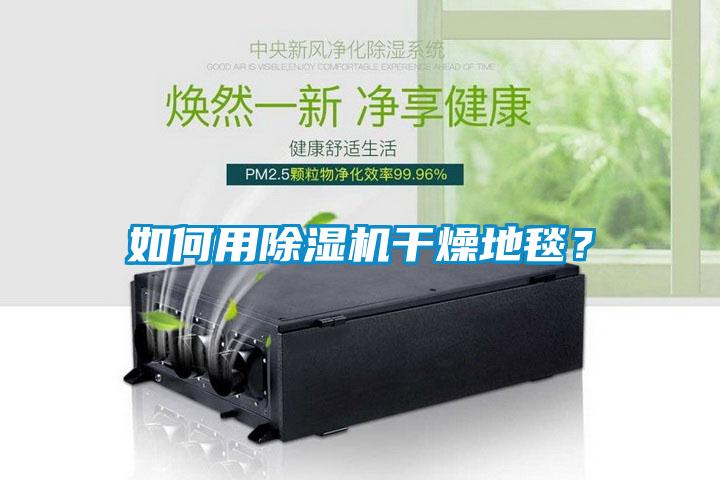 如何用除濕機(jī)干燥地毯？